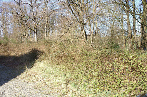 Baugrundstück_Ruppichteroth (24) - Grundstück in Ruppichteroth zum Kaufen
