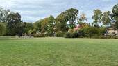 Park in der Nähe - 