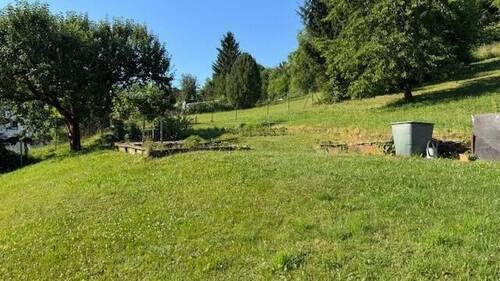Blick in Garten - 