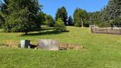 Blick in Garten - 
