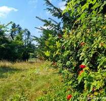 Großes Baugrundstück zwischen Natur & Hauptstadtflair-bauträgerfrei - Senzig
