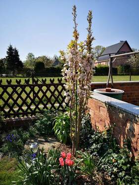 Garten - Grundstück zum Kaufen in Cottbus