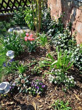 Garten - Grundstück in Cottbus zum Kaufen