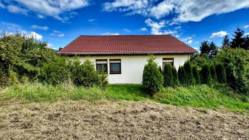 Außenansicht - 4 Zimmer Einfamilienhaus in Wechselburg