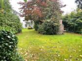 Garten - Baugrundstück für MFH mit bis zu 620 m² Wohnfläche