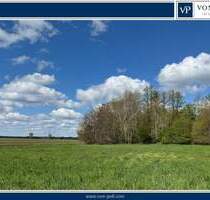 Schönes großes Grundstück mit zwei Baufenstern auf dem Land - Lüder / Röhrsen