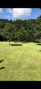 Bild 3 - Grundstück in Geestland-Debstedt