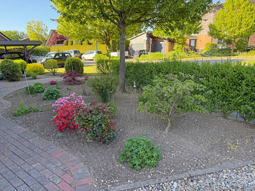 Beet Vordergarten - 