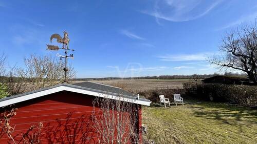 Blick vom Wintergarten - 