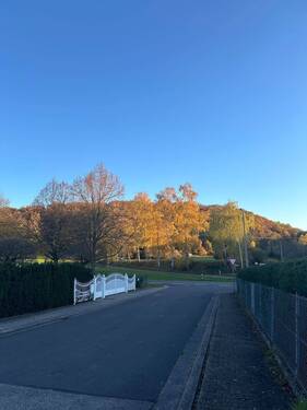 Straßenzufahrt - Grundstück in Schiersfeld