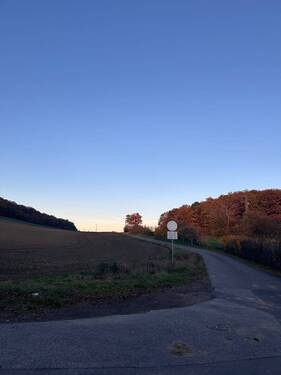 Feldweg an der Straße - 