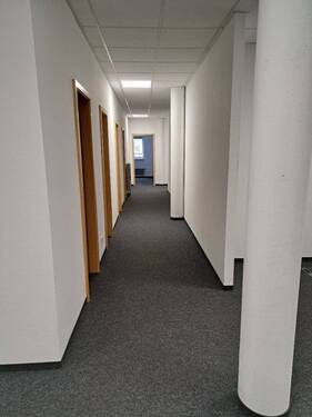 20230424_141333_resized.jpg - 