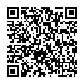QR-Code - 