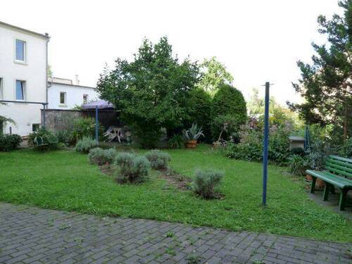 Blick in den Garten - 