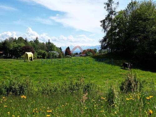 Unverbaubarer Blick - Grundstück in Icking zum Kaufen