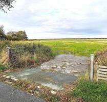 12,5 ha zusammenhängende Grünfläche in attraktiver Lage - Sankt Peter-Ording