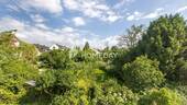 Ausblick - 