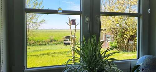 Blick in die Natur - 