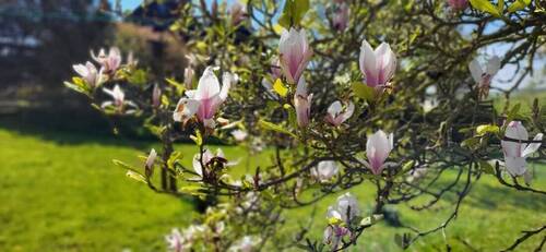 Fauna und Flora - 