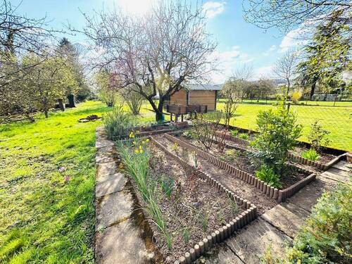 12. Garten - 