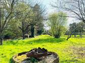 14. Garten - 