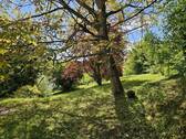 Idyllischer Garten - 