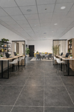 Offener Arbeitsbereich - Einrichtungsbeispiel - Büro mit 38,00 m&sup2; in Brühl zur Miete