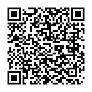 QR-Code - 