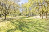 Parkähnliches Grundstück - 
