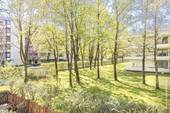 Ausblick vom Balkon - 