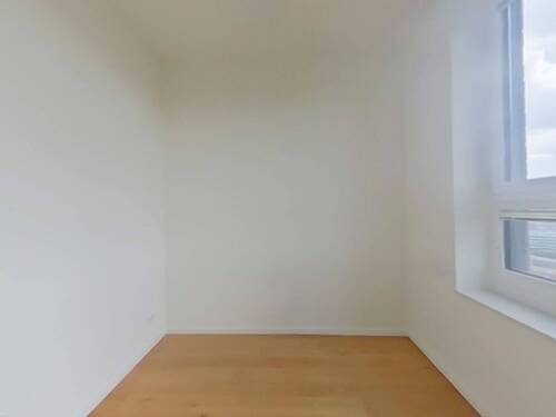 Zimmer - 