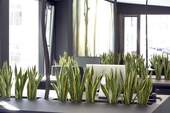 Offener Arbeitsplatz 1 - 