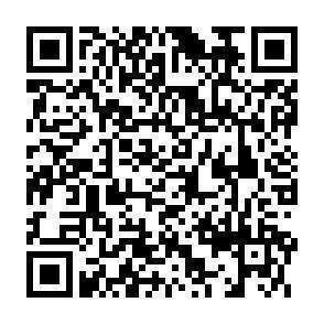 QR-Code - 