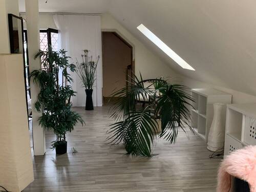 H 544 DG Wohn- und Esszimmer.JPG - :: Großes Mehrfamilienhaus mit großer Scheune und viel Potenzial (H 544) ::