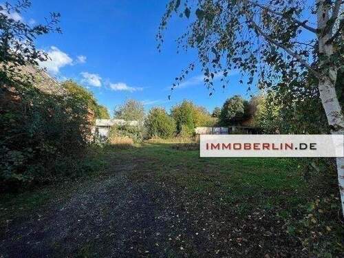 Mailing Bild 1.jpg - 