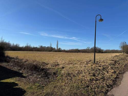 Keine Nachbarn zur rechten Seite - 5 Zimmer Doppelhaushälfte zum Kaufen in Bernburg