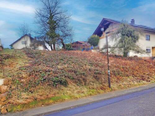 Grundstücksansicht - Grundstück zum Kaufen in Lobbach