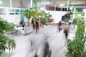 Gemeinschaftsfläche - Coworkingspace und flexible Office - Lösungen in Regensburg - All-in-Miete