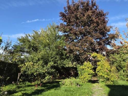 Garten - 
