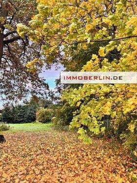 5.jpg - 309.000,00 EUR Kaufpreis, ca.  0,00 m²