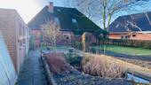 Garten und Teich hinterm Haus - 