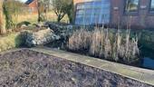Teich - 