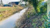 Sielzug - 