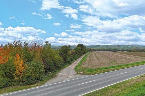 Blick auf ein Teilstück - Grundstück in Bornheim zum Kaufen