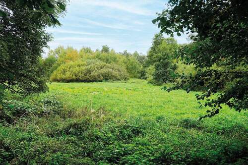 Bodenaufnahme - 