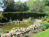 Gartenteich - 
