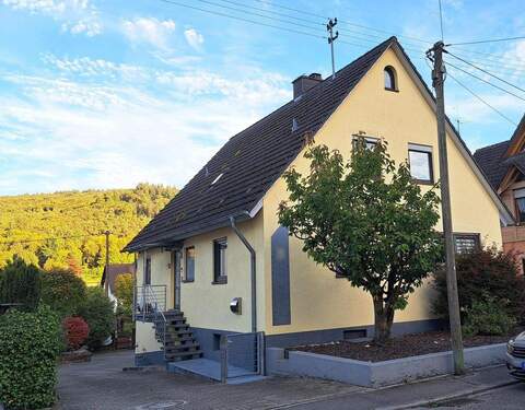 Hofzufahrt mit Hauseingang - 6 Zimmer Einfamilienhaus in Lahr
