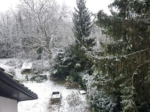 20260111_110021.jpg - 