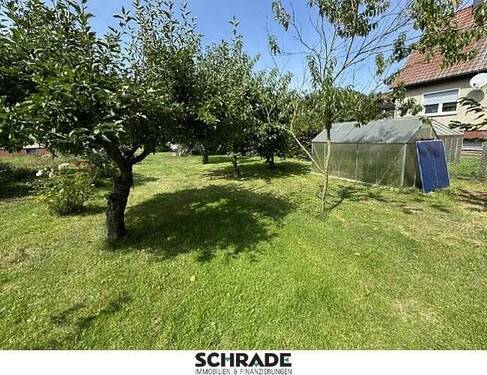 ...mit Gewächshaus - 