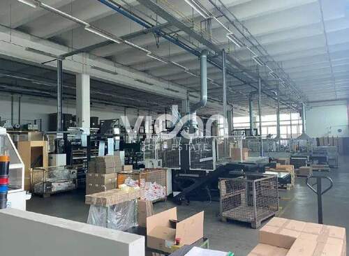 Bild - Halle in Lindlar zur Miete